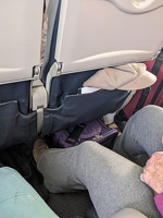 20231226 173950217 more pet carriers