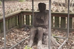 05156 stump woman