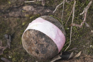 05208 wrapped rock
