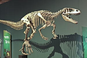 05413 condorraptor v1-topaz-sharpen
