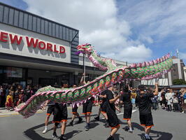 Around Wellington, February