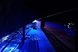 Light Cycles, June 5