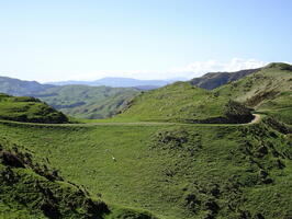 06398 path and also sheep v1