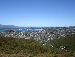 06415 houses and wellington harbour v1
