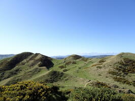 06429 grassy hills v1