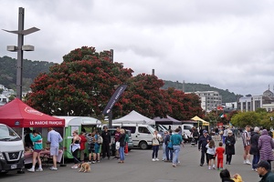 08169 pohutukawa at the market v1