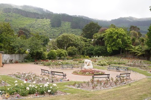 08227 rose garden