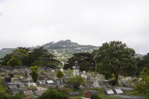 08235 karori cemetary