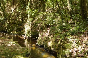 08245 stream