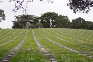 08253 kereru cemetary services section v1
