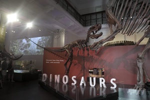 05895 about dinosaurs v1
