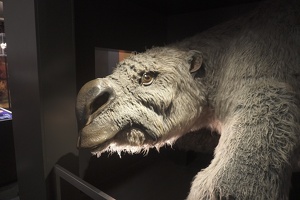 05906 diprotodon