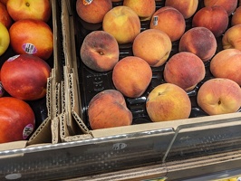 20240126 051354205 australian peaches in summer