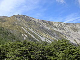 TS day 5: Sabine Hut to Speargrass Hut to Mt Robert carpark, plus Nelson, February 8
