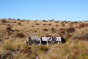 01274 wagon v1