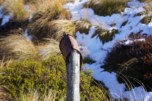 01282 post with iron