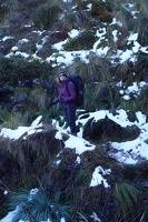 01291 mp with snow