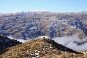 01302 snowy hills