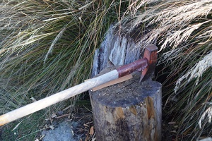 01391 axe