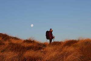 01438 mp with moon v1