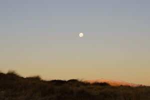 01454 moon v1