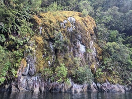 20240524 221358266 mossy rock
