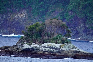02442 small island v1