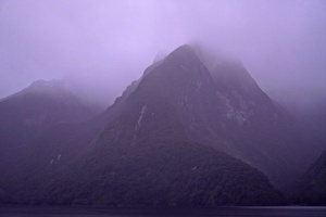 02556 misty morning v1