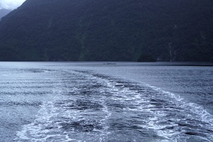02602 wake v1