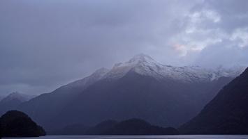 Doubtful Sound Navigator day 3, misty ride back to Manapouri Village and flight to Wellington, May 26