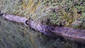 02655 waters edge v1