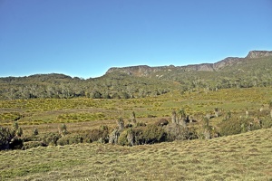 09309 buttongrass moorland v1