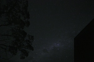 09497 night sky with tree and hut