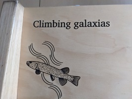 20240502 040620107 climbing galaxias bunk routefinding