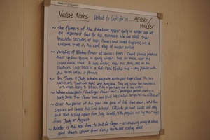 03102 kapiti island nature notes