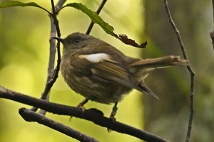 03173 hihi v1-topaz-denoise-sharpen
