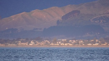 03329 houses across at golden hour v1