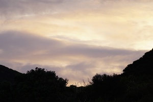 03331 dusk v2