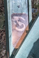 20240621 222951927 some gecko v1