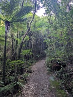 20240622 001656919 path