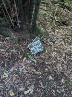 20240622 001926073 summit and toilet 350m