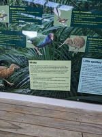 20240622 022334720 beware the weka