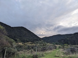 20240622 041429716 hills on kapiti island