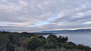 20240622 041749422 waiorua bay coast on kapiti island v1