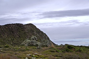 03394 north end of kapiti island v1