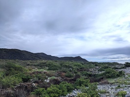 20240623 001512087 kapiti island landscape v1