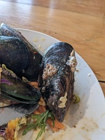 20240623 010504259 food mussels
