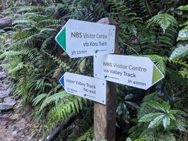 Old Ghost Road, June/July 2024