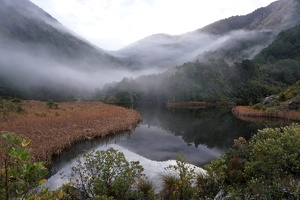03948 mist and reflections v1