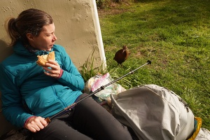 04036 mp glares at weka v1